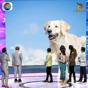 Meet your Posher, Gail